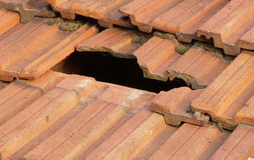 roof repair Dollar, Clackmannanshire
